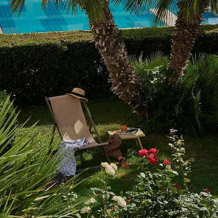 Alkyon & Βραχάτι